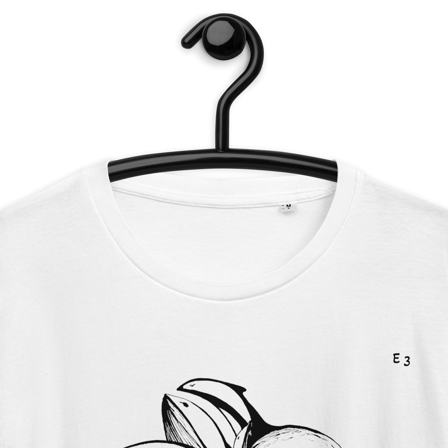 Swim with me/Dolphins are so friendly/Let’s inspire from them !