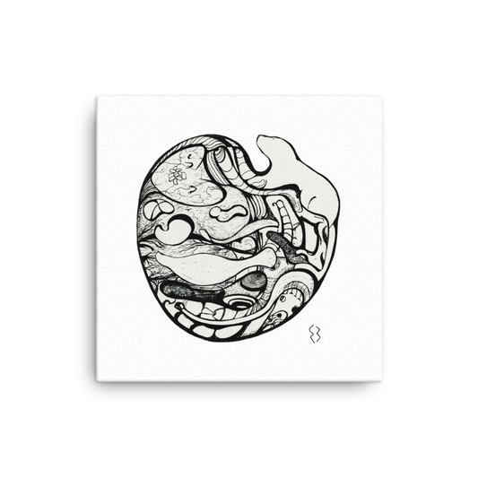 Ours polaire Polar Bear white