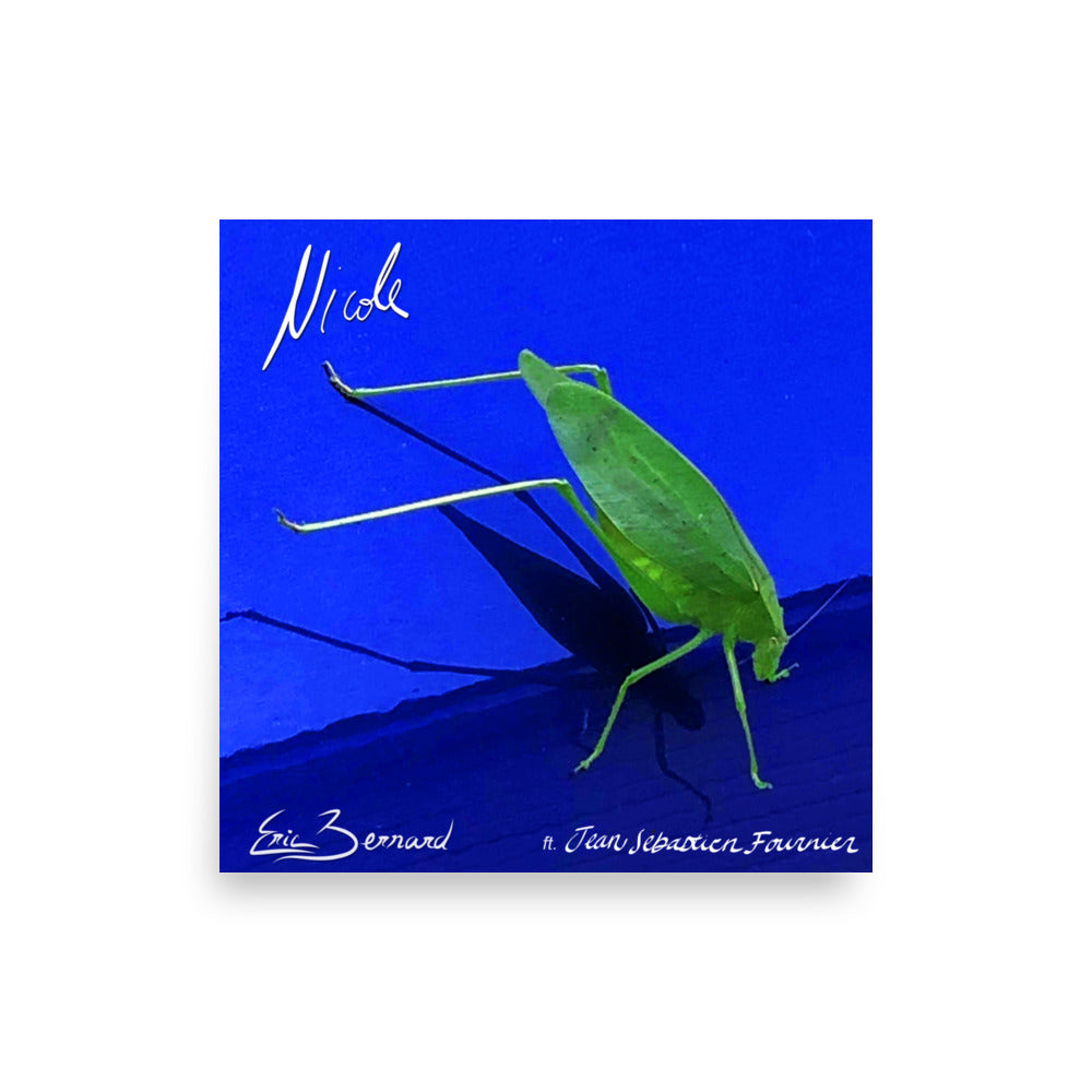 Original single cover Nicole 10x10 Poster